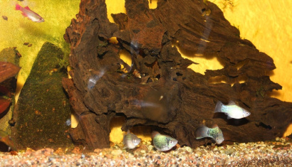 Центр океанографии «Открытый океан» в Минске