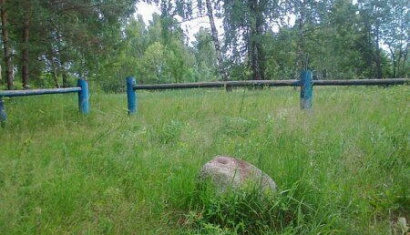 Камень-лекарь в деревне Падевичи