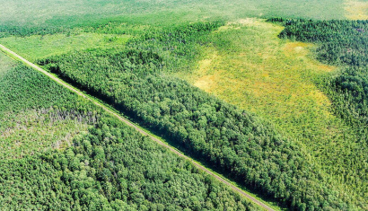 Заказник «Острова Дулебы»