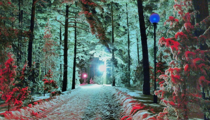 Зимняя Перезагрузка в санатории «Сосны» - Почувствуйте себя ребенком в зимней сказке!