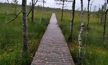 Тур "Дружная семейка"