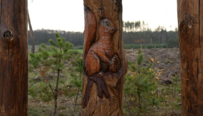 «Сафари-парк» в Национальном парке Припятский