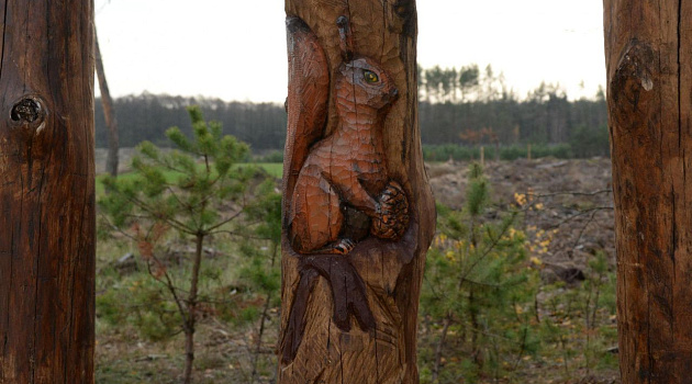 «Сафари-парк» в Национальном парке Припятский