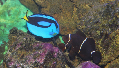 Центр океанографии «Открытый океан» в Минске