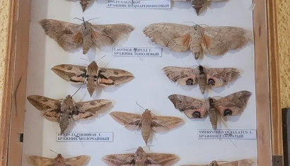 Музей Природы в Турове