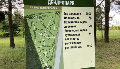 Кличевский дендропарк