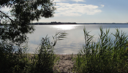 Заказник «Селява» и озеро Селява в Крупском районе