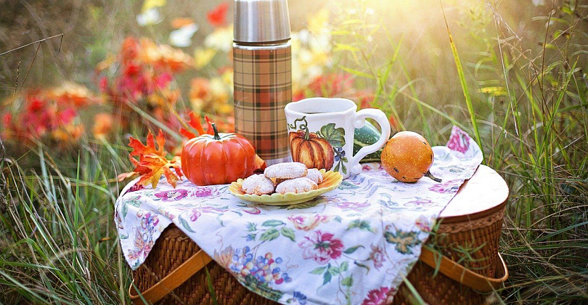 Городской пикник Vulitsa Ezha в Гродно