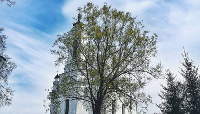 Костел Рождества Девы Марии в Заславле