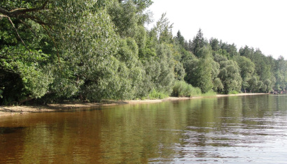 Заказник «Селява» и озеро Селява в Крупском районе