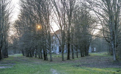 г.п. Желудок