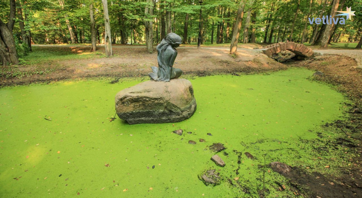 Достопримечательности города Несвиж