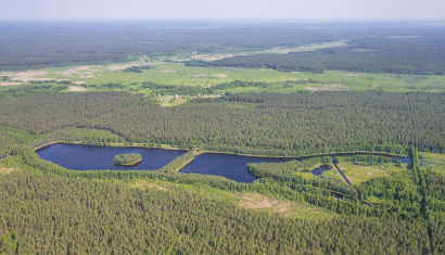 Налибокская пуща