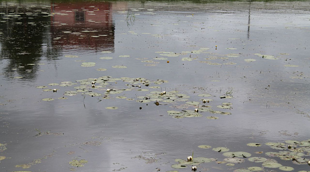 Родовая усадьба Тарасевичей в деревне Гнезно