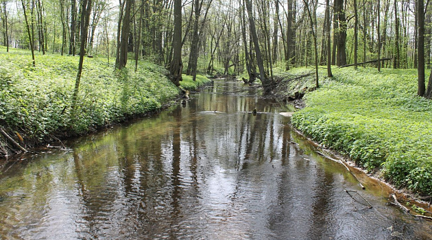 Усадьба Огинского в деревне Залесье