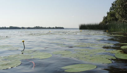 Заказник «Селява» и озеро Селява в Крупском районе