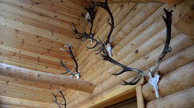 «Сафари-парк» в Национальном парке Припятский