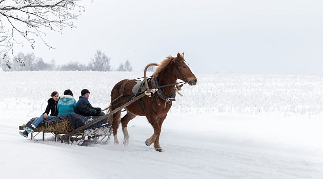 Музей старинных ремесел «Дудутки»
