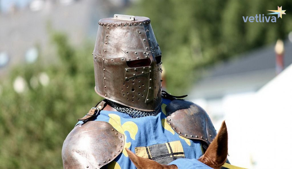 Рыцарский фестиваль в Мстиславле