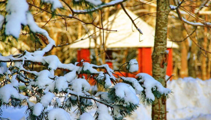 ВРЕМЯ ЧУДЕС! С 13 ПО 28 ДЕКАБРЯ СПЕЦИАЛЬНОЕ ПРЕДЛОЖЕНИЕ ОТ САНАТОРИЯ «ПРИОЗЁРНЫЙ».
