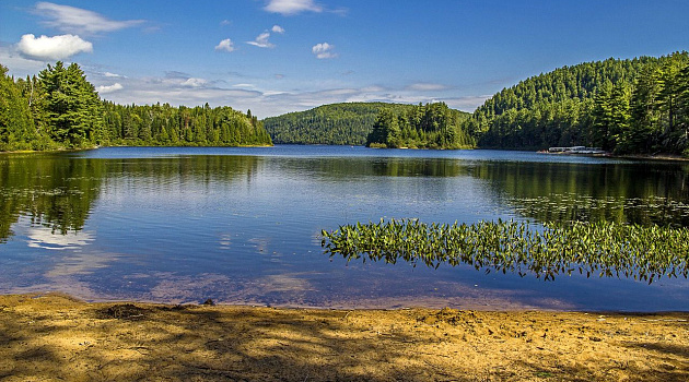 Нарочь или Браславские озера: что выбрать?